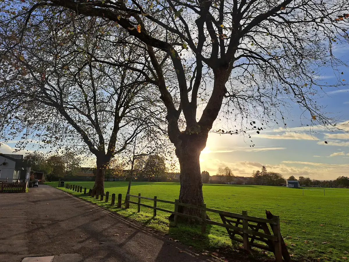 Tree-lined entrance overlooking Tuffley Park playing fields