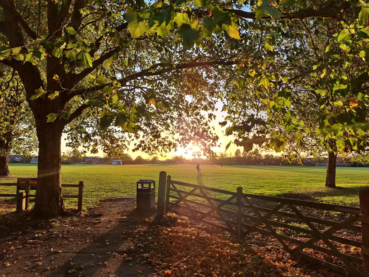 Sunset across the open playing fields at Tuffley Park