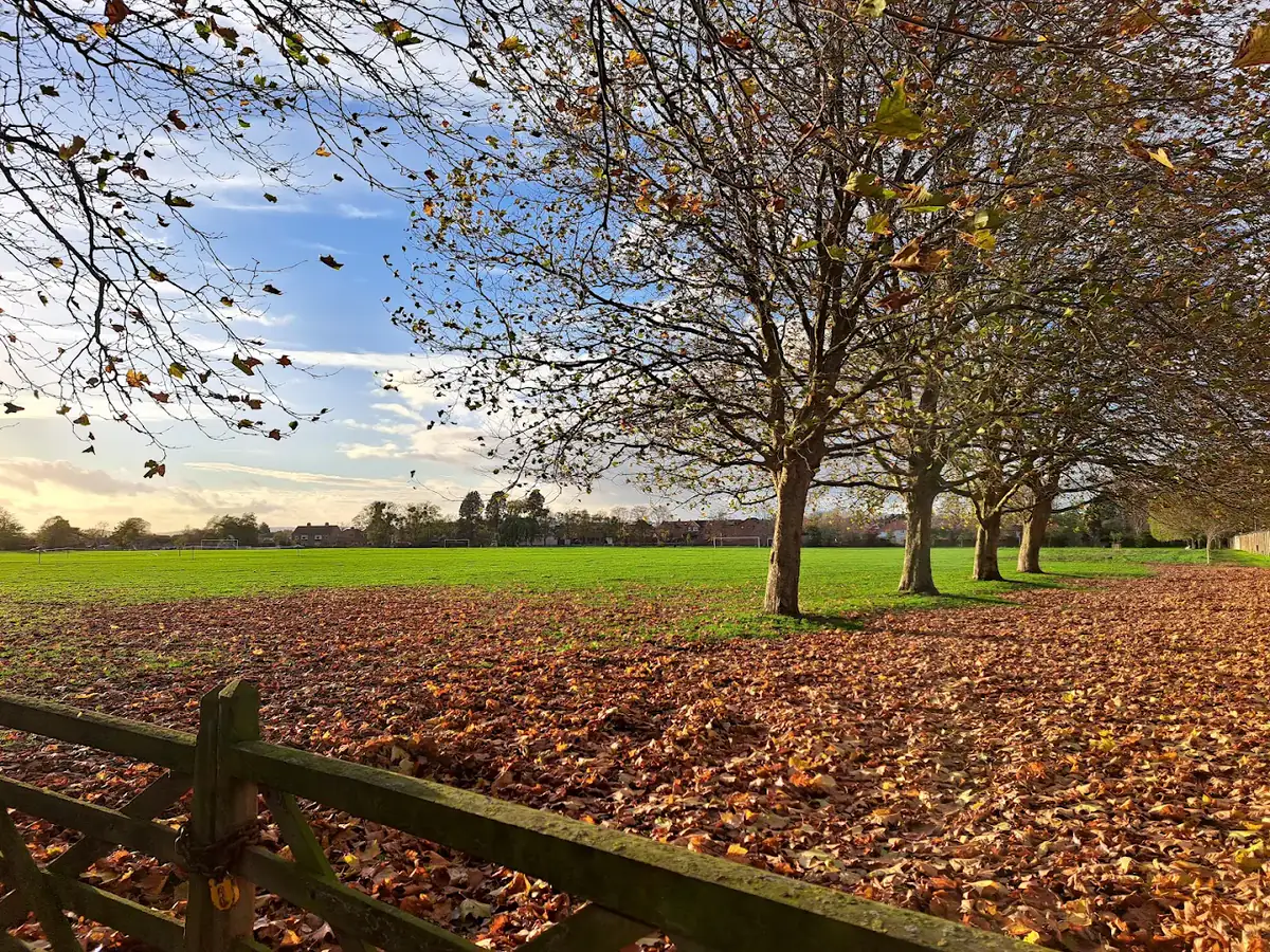 Tuffley Park playing fields framed by autumn trees